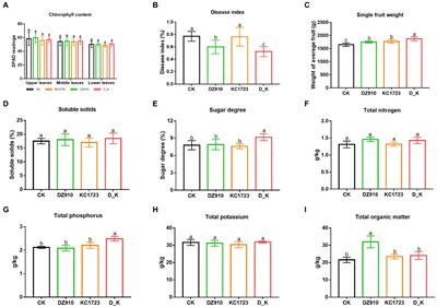 Synergistic effect of Bacillus subtilis and Paecilomyces lilacinus in alleviating soil degradation and improving watermelon yield